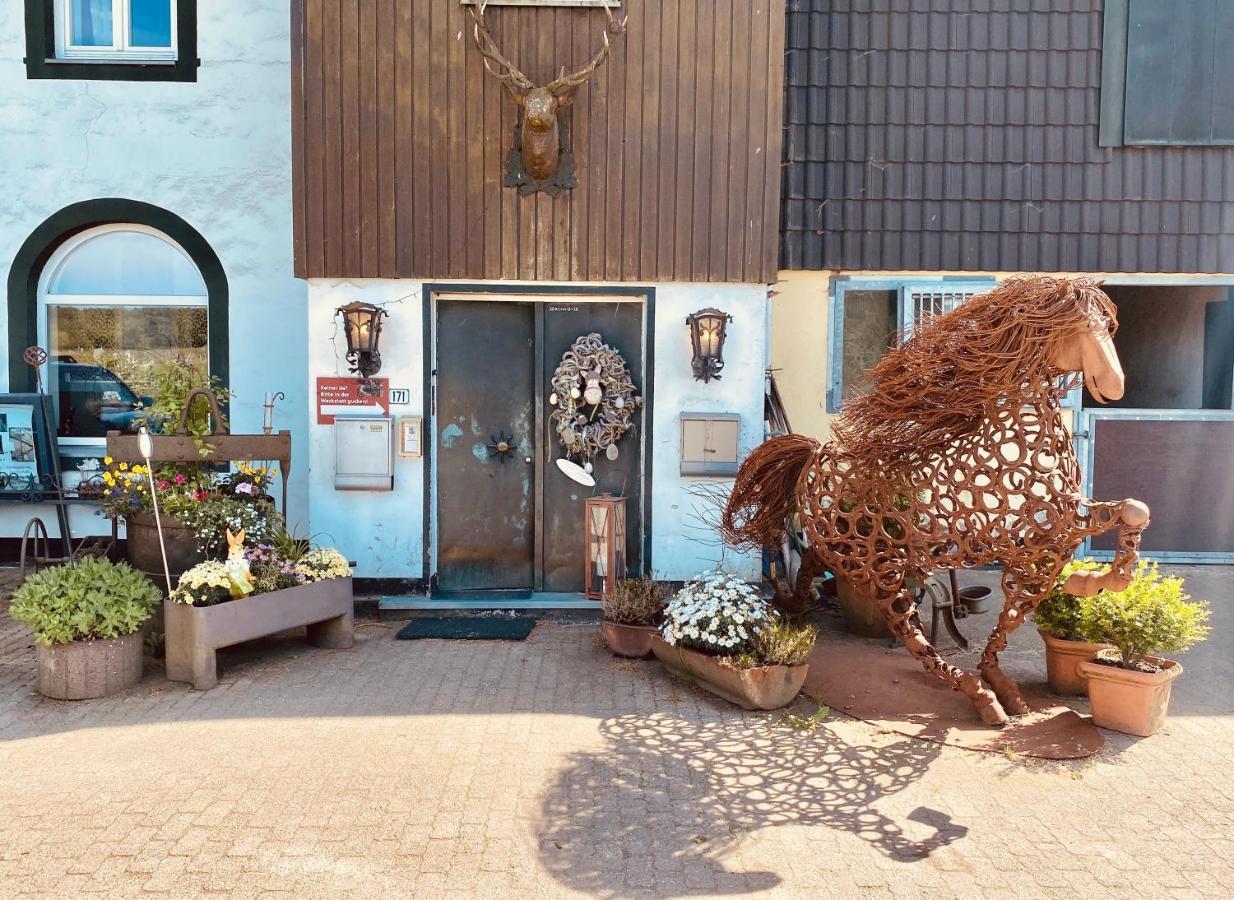 Hof Vierzehnender Im Hohen Venn - 70Qm Maisonette - 2 Schlafzimmer - Wohnkueche - Balkon Mit Grill - Monschau - Eifel - Hunde Willkommen - Islandpferde Luaran gambar