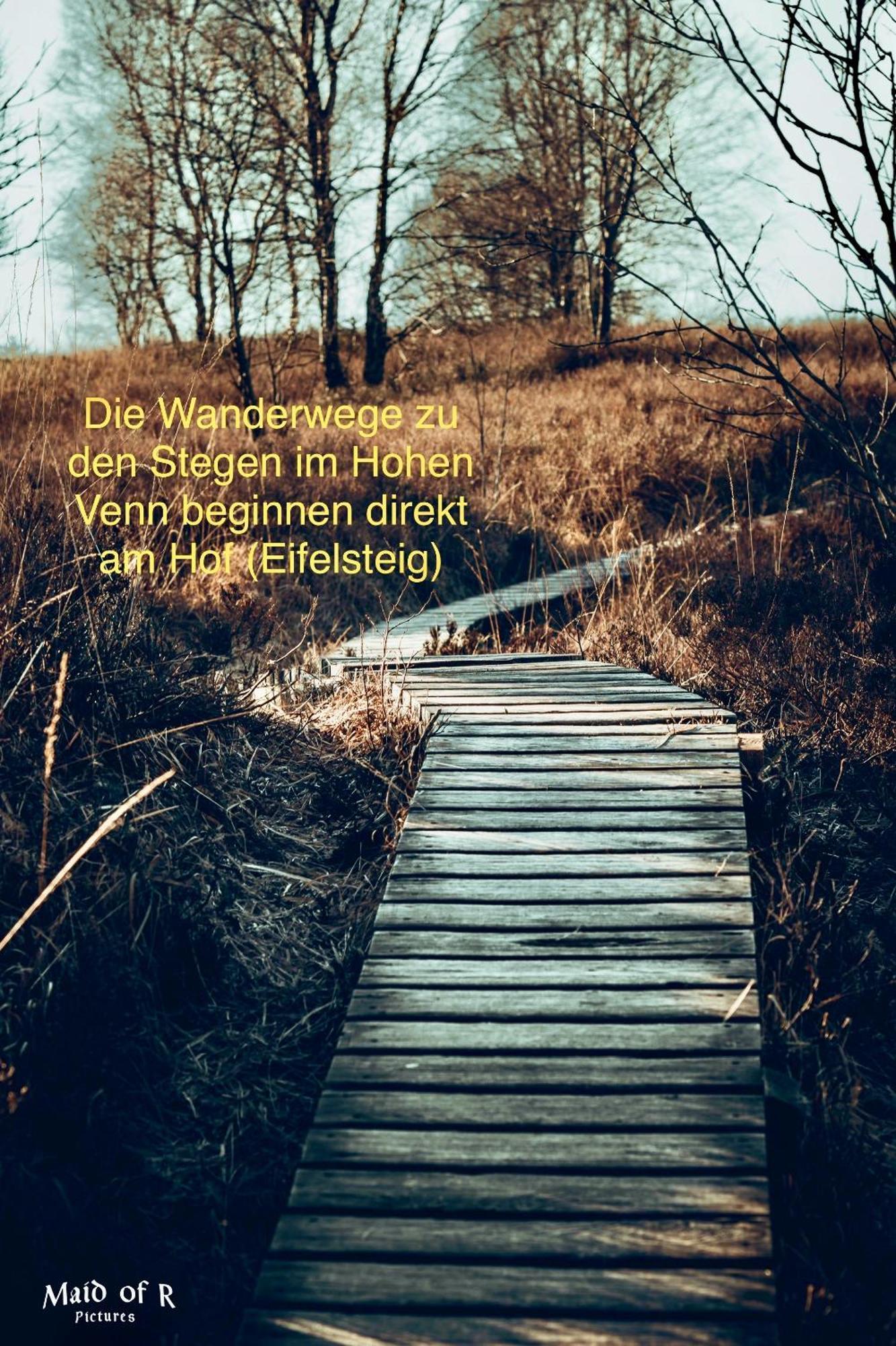 Hof Vierzehnender Im Hohen Venn - 70Qm Maisonette - 2 Schlafzimmer - Wohnkueche - Balkon Mit Grill - Monschau - Eifel - Hunde Willkommen - Islandpferde Luaran gambar