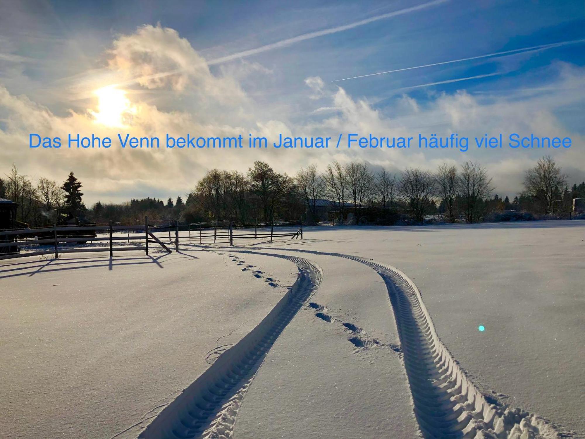 Hof Vierzehnender Im Hohen Venn - 70Qm Maisonette - 2 Schlafzimmer - Wohnkueche - Balkon Mit Grill - Monschau - Eifel - Hunde Willkommen - Islandpferde Luaran gambar